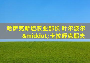 哈萨克斯坦农业部长 叶尔波尔·卡拉舒克耶夫